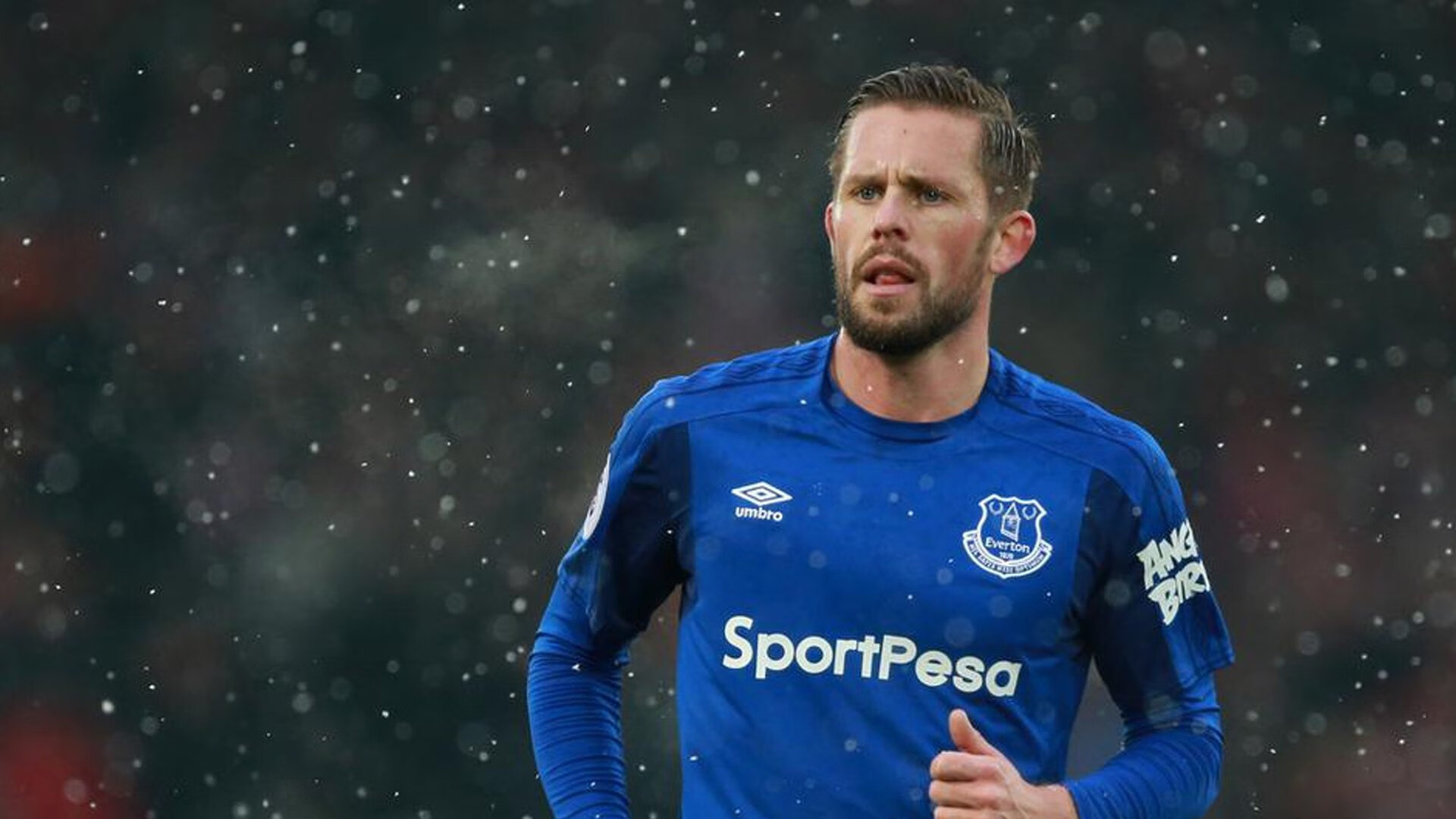 丹麦队接连获胜！欧洲杯预选赛赛事火热进行中！，欧洲杯 丹麦队