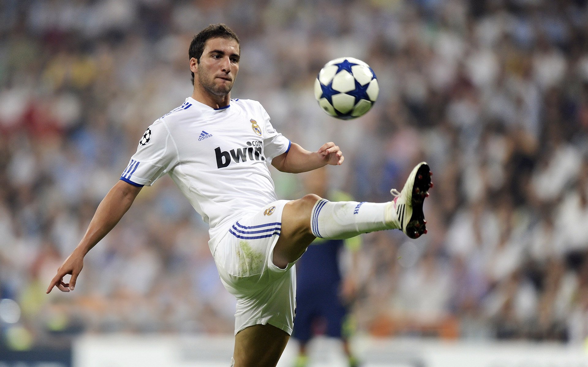 九游电竞中心-独立队年轻球员入选国家队，独立队年轻球员入选国家队了吗